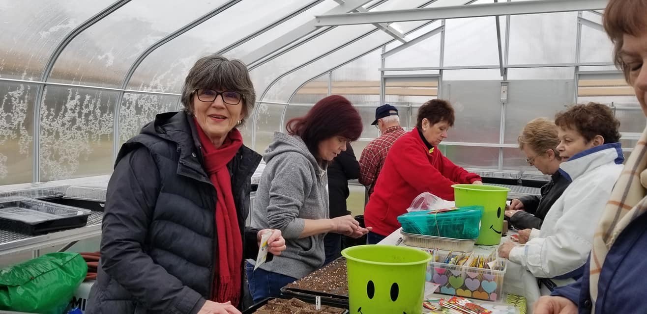 Coniston Community Garden